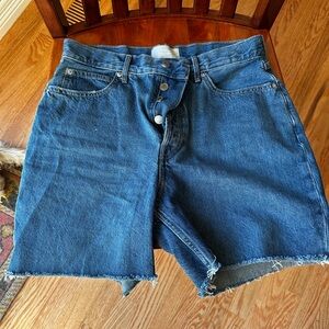 Everlane Blue Jean Shorts High-Waisted Frayed Hem